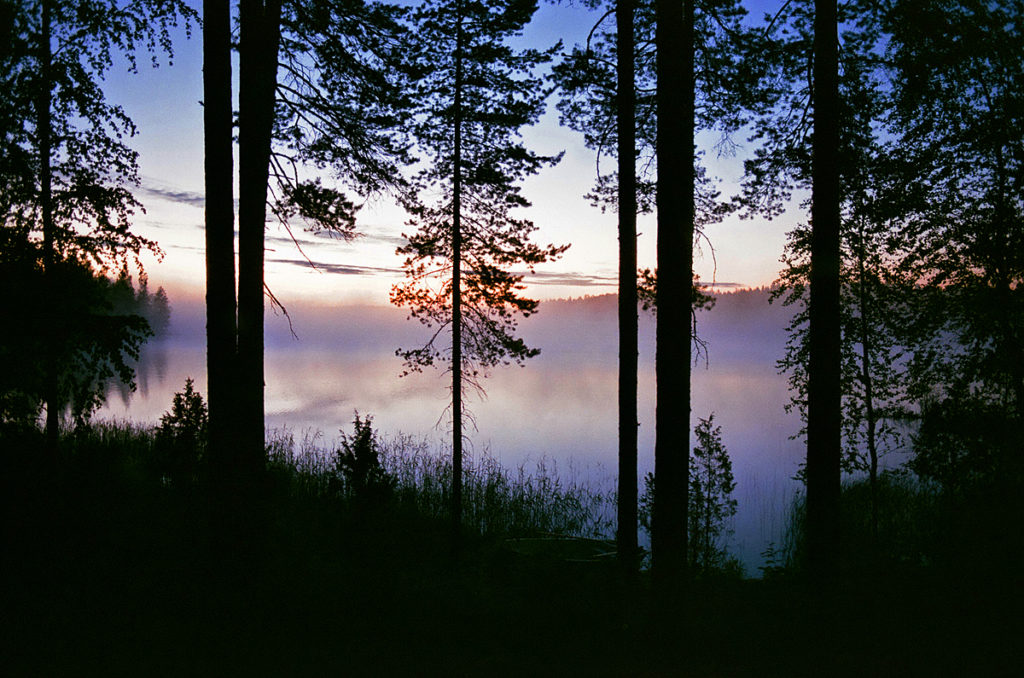 Suomen luonto – P. Rannikon lievä maailma